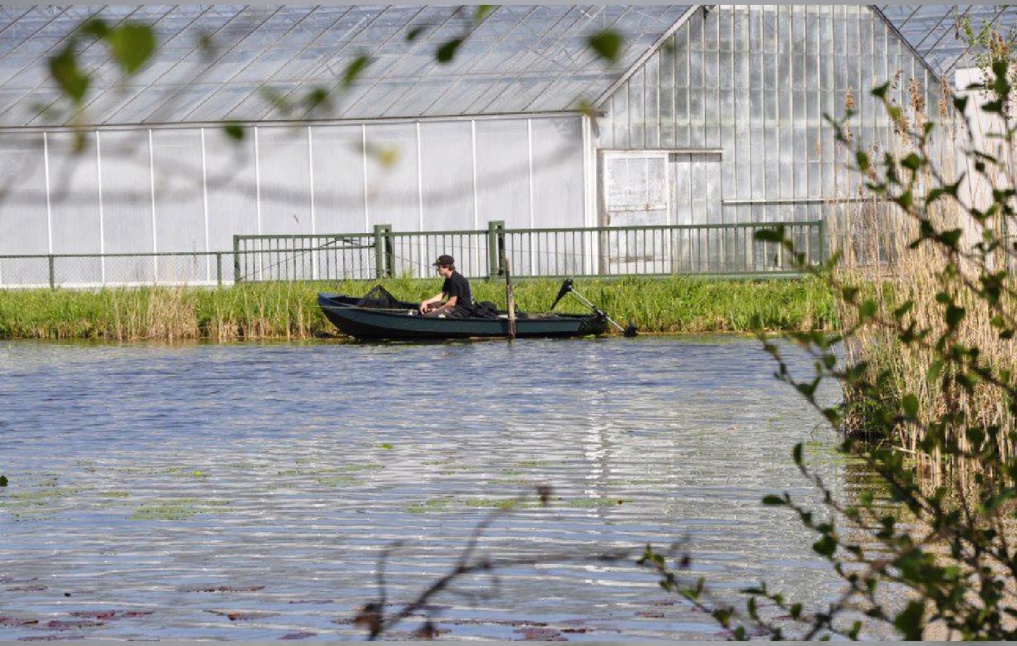 Dagvissen op het Plashuis 3 Dagvissen op het Plashuis 3