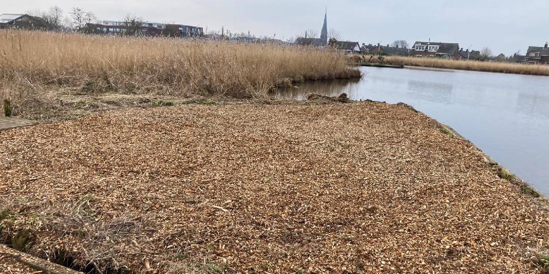 Nachtvisstek 8 het Plashuis Nachtvisstek 8 het Plashuis