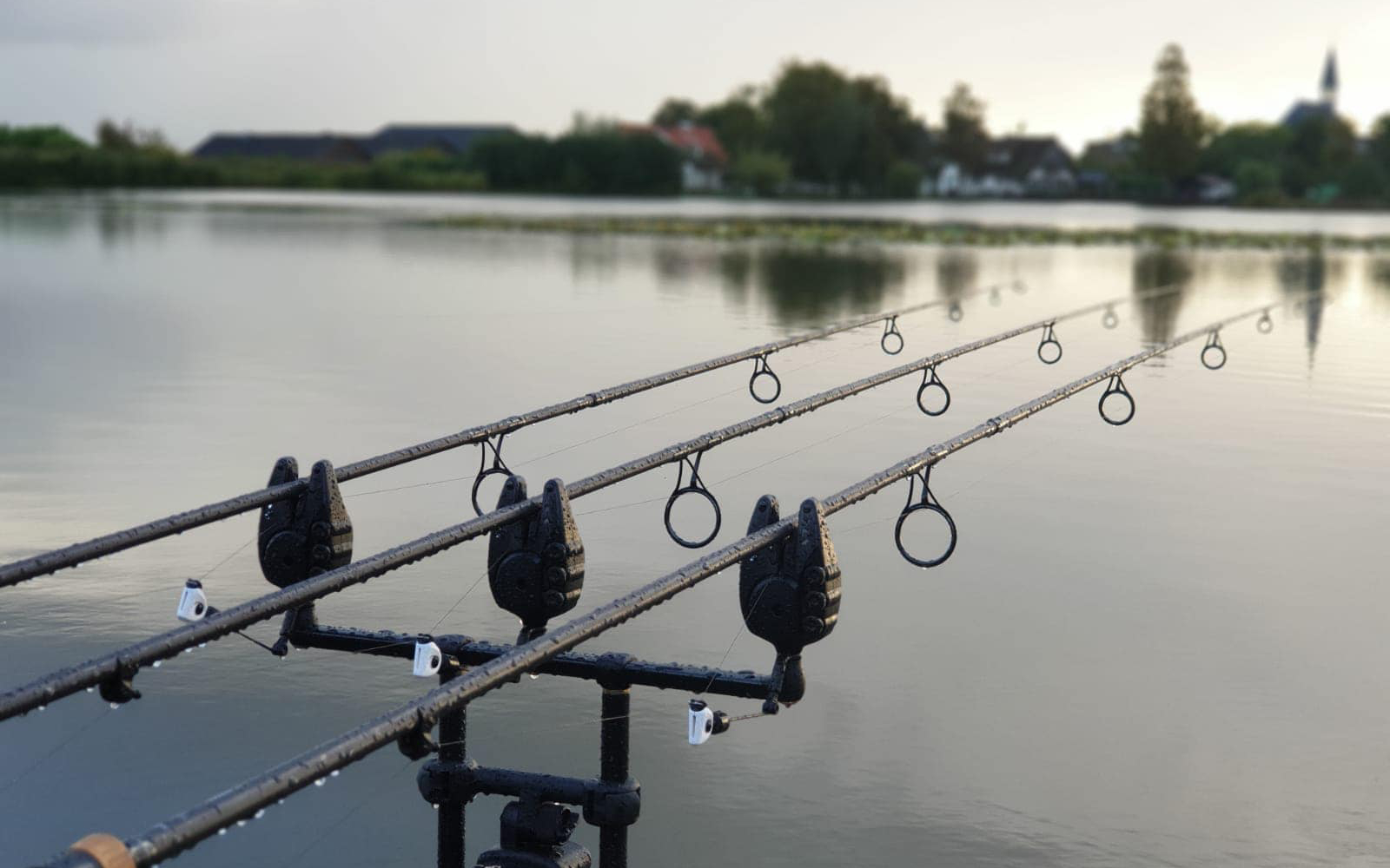 Nieuw project - 2026-02-01T211650.016