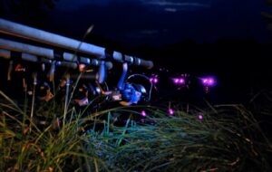 Sfeerbeeld 12 Sfeerbeeld 12