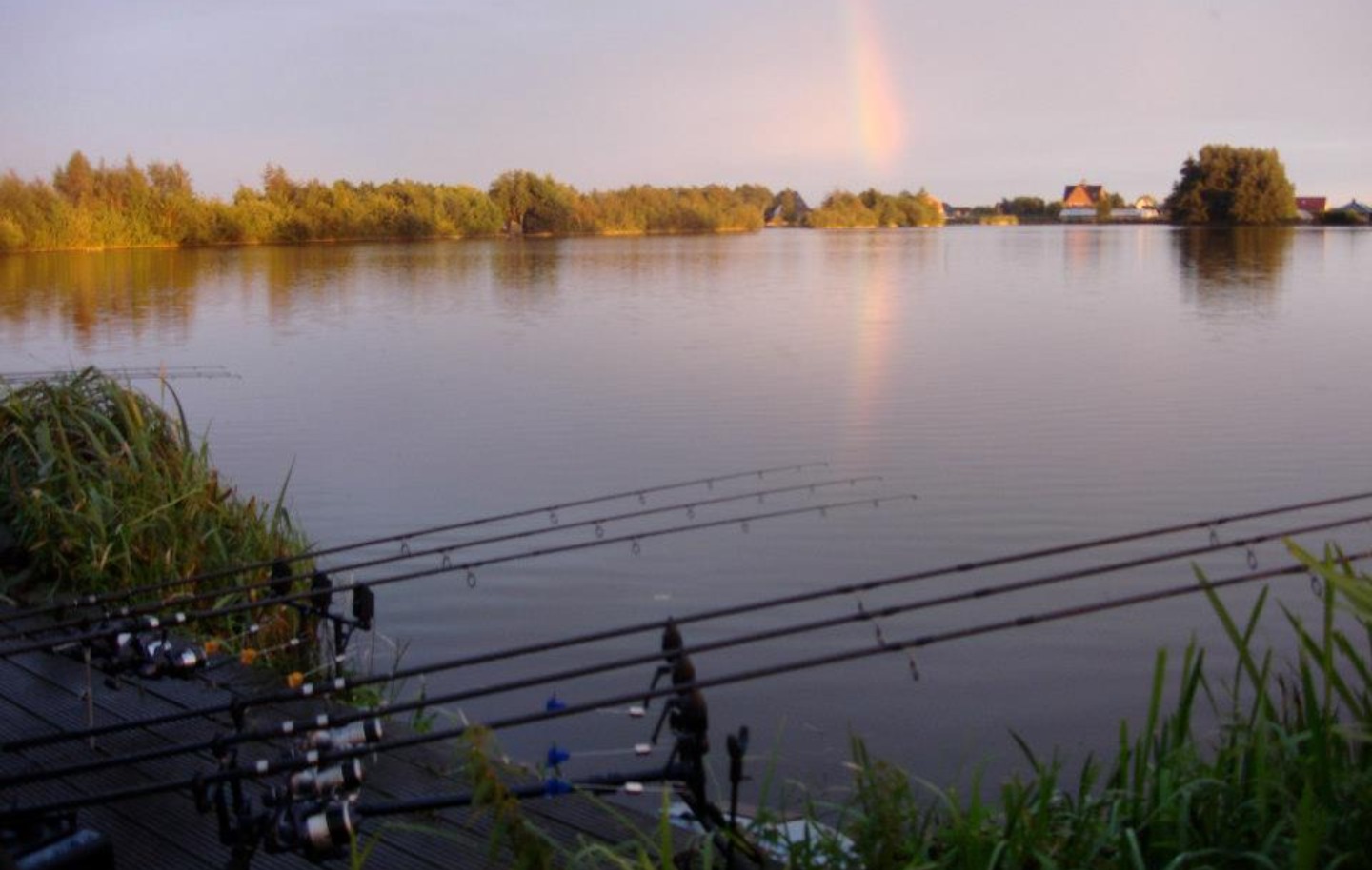 Sfeerbeeld 4 Karper 2 op nachtvisstek 2